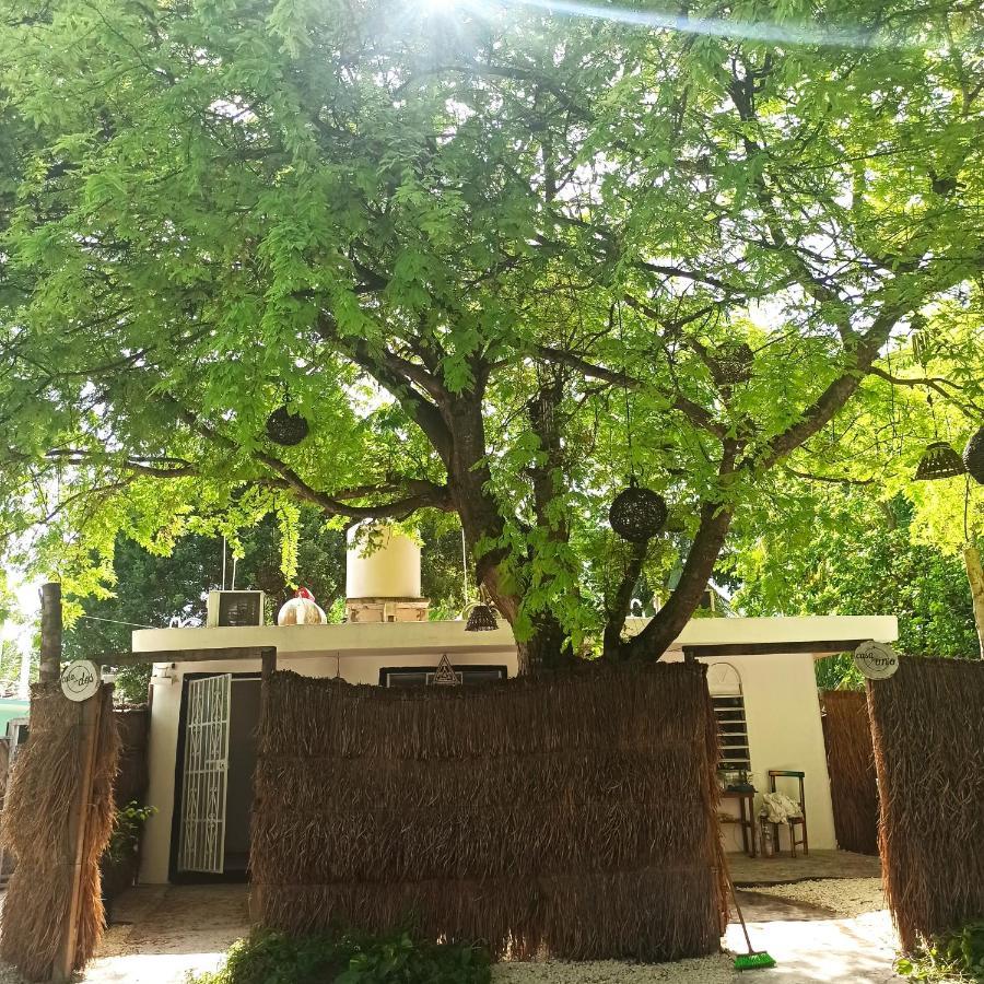 Apartament Casa Arte Bacalar Zewnętrze zdjęcie